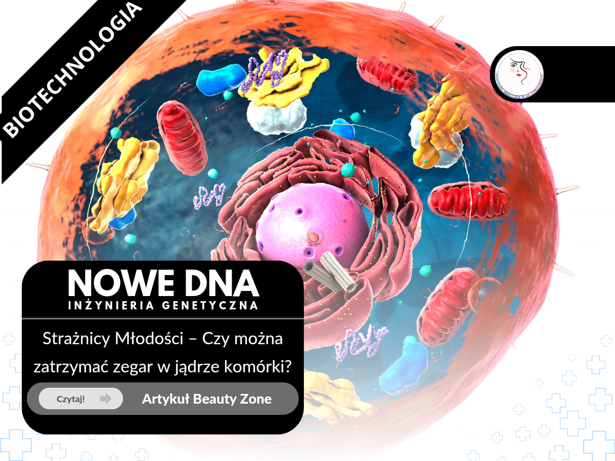 Nowe DNA – Strażnicy Młodości